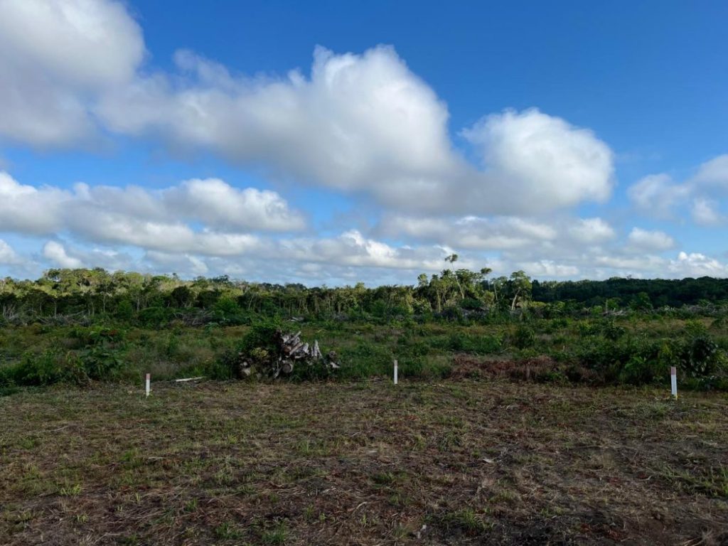 Foto: Filipe Gabriel Mura