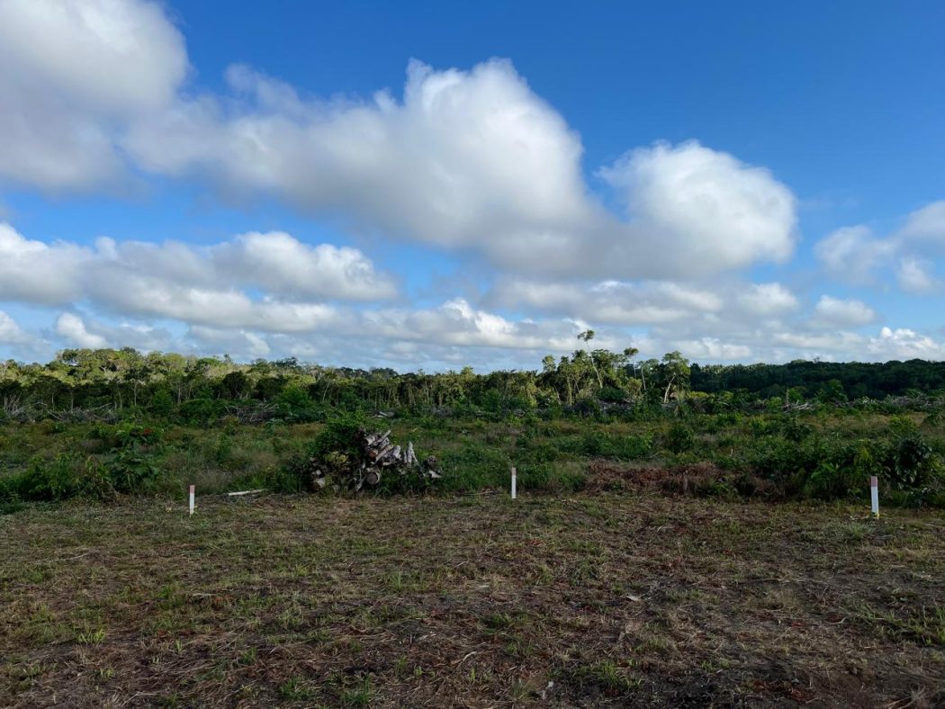 Foto: Filipe Gabriel Mura